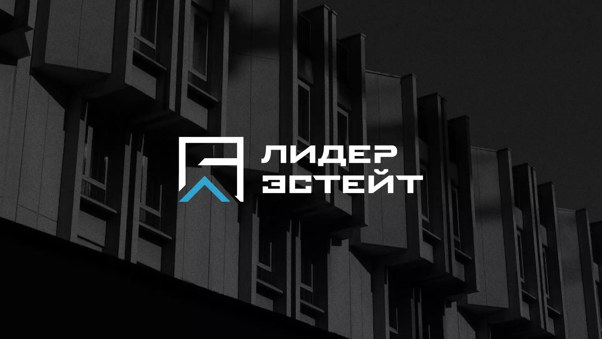 Разработка логотипа агентства недвижимости «Лидер Эстейт» в Зернограде